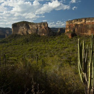 pixel_expedicoes_caatinga_araras_azuis_de_lear4