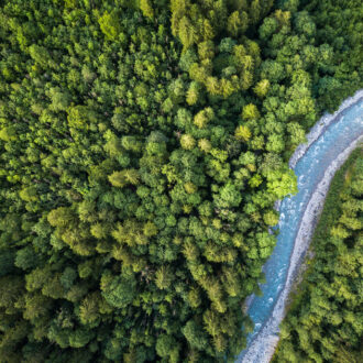 Aerial top view of summer green trees in forest with a splendid mountain river